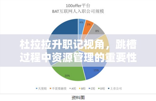 杜拉拉升职记视角，跳槽过程中资源管理的重要性及实施高效策略