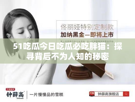 51吃瓜今日吃瓜必吃胖猫：探寻背后不为人知的秘密