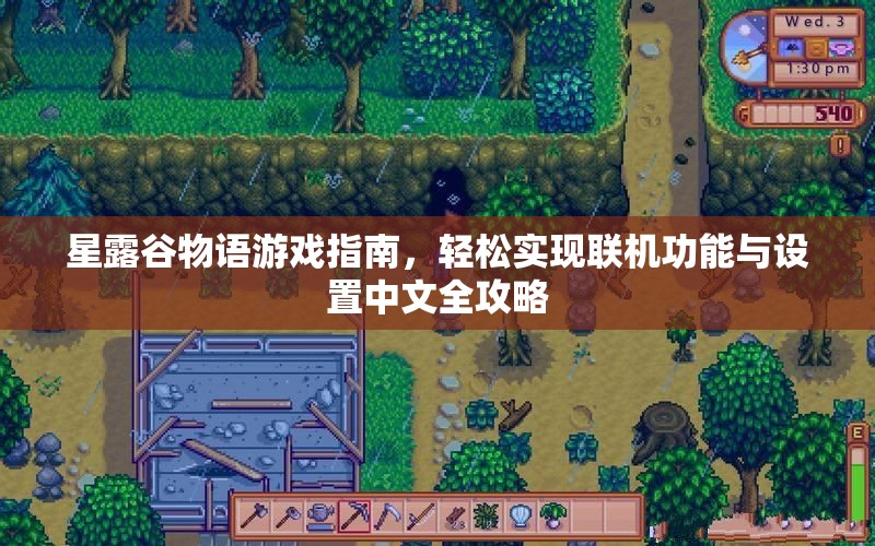 星露谷物语游戏指南，轻松实现联机功能与设置中文全攻略