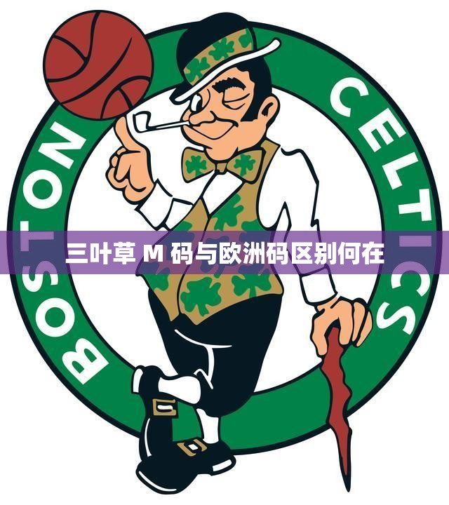 三叶草 M 码与欧洲码区别何在