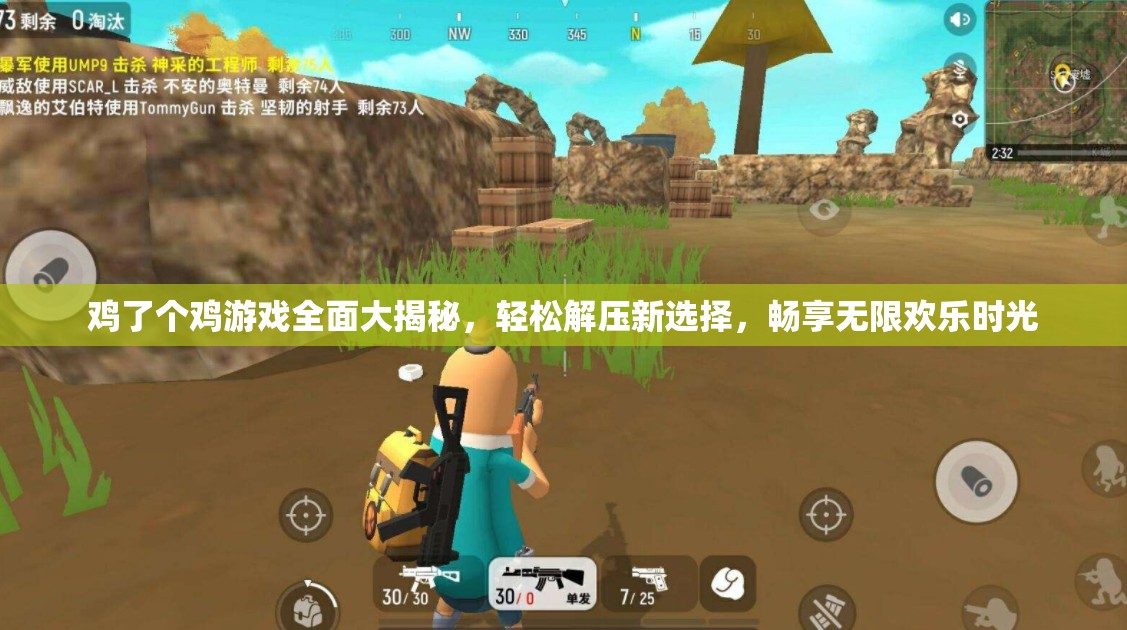 鸡了个鸡游戏全面大揭秘，轻松解压新选择，畅享无限欢乐时光